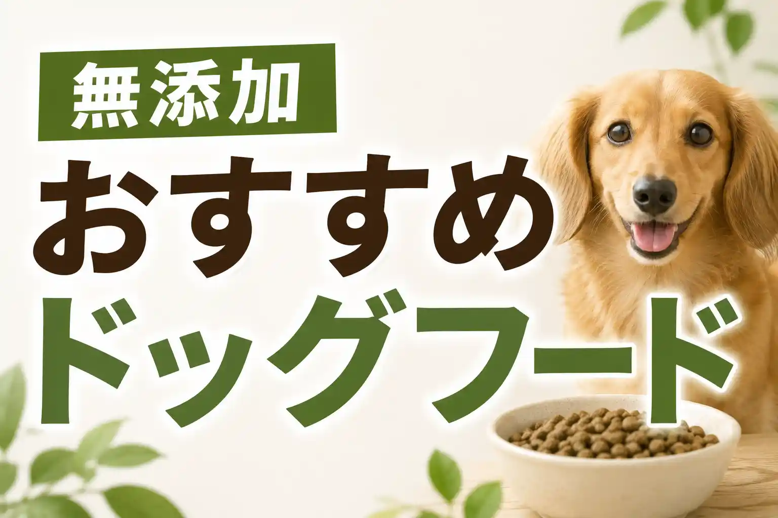 【保存版】無添加ドッグフードおすすめ5選!避けたい添加物と選び方