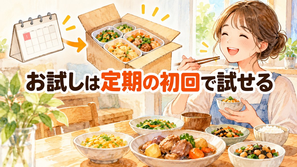 お試しは定期の初回で試せる